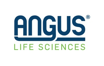 Angus Chemie Gmbh Succursale France Sa Angus Chemie Gmbh Succursale France Sa