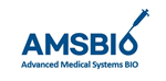 Amsbio Co., Ltd