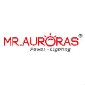Auroras Innotech (guangdong) Co Ltd