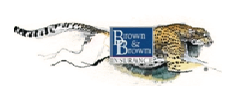 Brown & Brown Insurance Brown & Brown Insurance